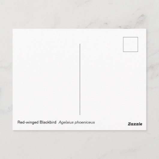 Carte Postale Oiseau roux (Dos)