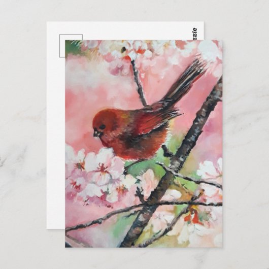 Carte Postale Oiseau roux en fleurs de cerisiers (Devant / Derrière)