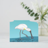 Carte Postale Oiseau royal de Spoonbill NZ (Debout devant)