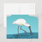 Carte Postale Oiseau royal de Spoonbill NZ (Devant / Derrière)