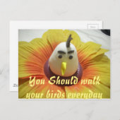 Carte Postale Oiseau sculpté en Tournesol Imprimer (Devant / Derrière)