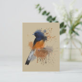 Carte Postale Oiseau Shama Rumpé Blanc (Debout devant)