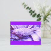 Carte Postale Oiseau statuaire violet (Debout devant)