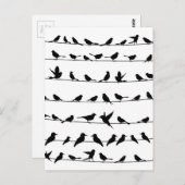 Carte Postale Oiseau sur fil4 (Devant / Derrière)