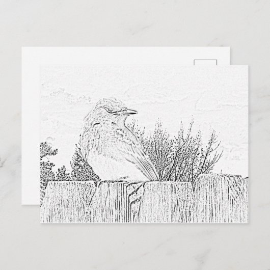 Carte postale - Oiseau sur la clôture à couleur (Devant / Derrière)