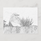 Carte postale - Oiseau sur la clôture à couleur (Devant)