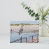 Carte Postale Oiseau sur la jetée - Corpus Christi, Texas (Debout devant)