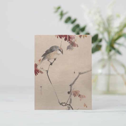 Carte Postale Oiseau sur l'araignée d'observation des branches | (Debout devant)