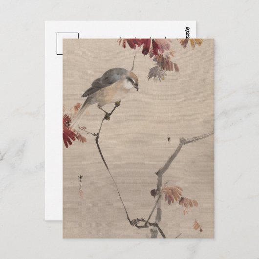 Carte Postale Oiseau sur l'araignée d'observation des branches | (Devant / Derrière)