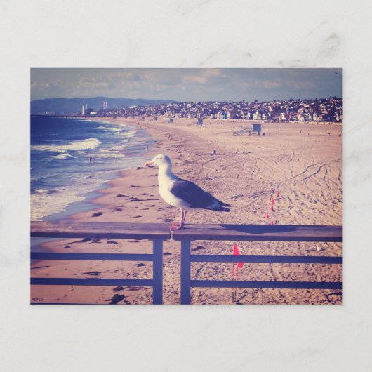 Carte Postale Oiseau Sur Un Rail (Devant)