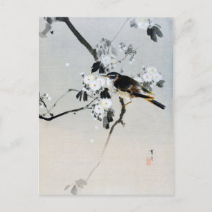 Carte Postale Oiseau sur une branche de fleurs de cerisiers, Wat