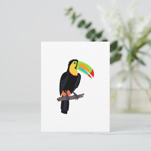 CARTE POSTALE OISEAU TOUCAN (Debout devant)