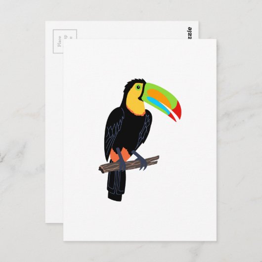 CARTE POSTALE OISEAU TOUCAN (Devant / Derrière)