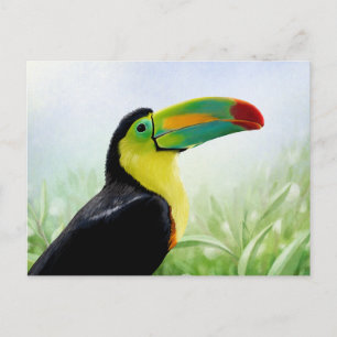 Carte Postale Oiseau tropical coloré Noir Jaune Vert Toucan