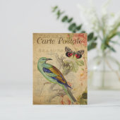 Carte Postale Oiseau vert et papillon (Debout devant)