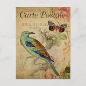 Carte Postale Oiseau vert et papillon (Devant)