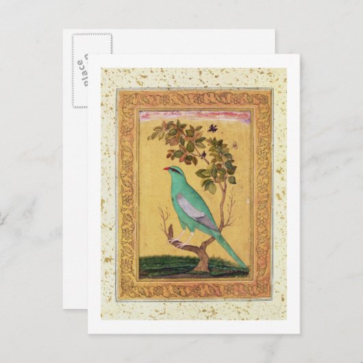 Carte Postale Oiseau vert, Mughal (gouache sur papier) (Devant / Derrière)