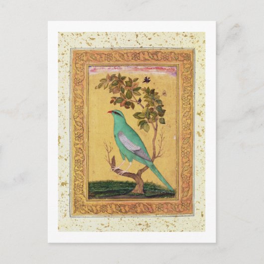 Carte Postale Oiseau vert, Mughal (gouache sur papier) (Devant)