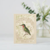 Carte Postale Oiseau vert sur la branche (Debout devant)