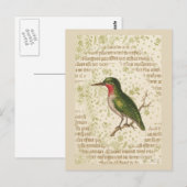 Carte Postale Oiseau vert sur la branche (Devant / Derrière)