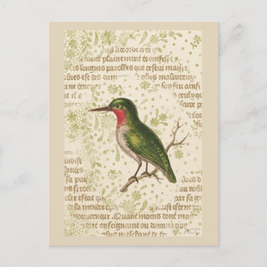 Carte Postale Oiseau vert sur la branche (Devant)