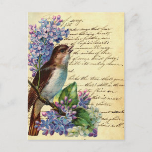 Carte Postale Oiseau victorien et typographie I