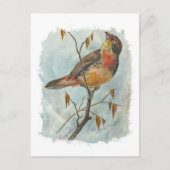 Carte Postale Oiseau vintage (Devant)