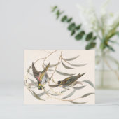 Carte Postale Oiseau vintage (Debout devant)