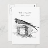 Carte Postale oiseau vintage (Devant / Derrière)