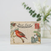 Carte postale Oiseau vintage (Debout devant)