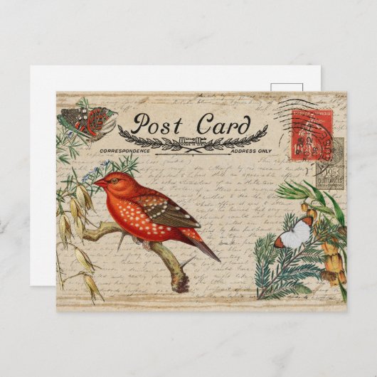 Carte postale Oiseau vintage (Devant / Derrière)