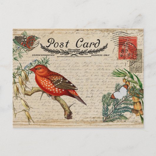 Carte postale Oiseau vintage (Devant)