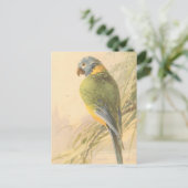 Carte postale Oiseau vintage (Debout devant)