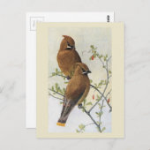 Carte Postale Oiseau vintage 01 cire (Devant / Derrière)