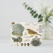 Carte Postale oiseau vintage et nid (Debout devant)