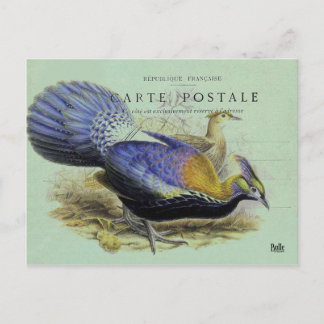 Carte postale oiseau violet briefkaart