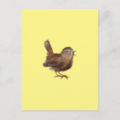 Carte Postale Oiseau Wren (Troglodytes Troglodytes) (Devant)