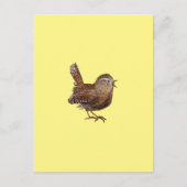 Carte Postale Oiseau Wren (Troglodytes Troglodytes) (Devant)