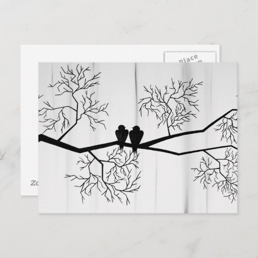 Carte Postale oiseaux (Devant / Derrière)