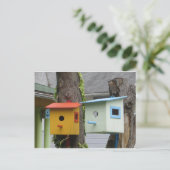 Carte Postale Oiseaux (Debout devant)