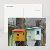 Carte Postale Oiseaux (Devant / Derrière)