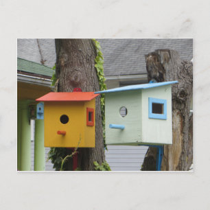 Carte Postale Oiseaux