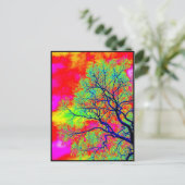 Carte Postale Oiseaux (Debout devant)