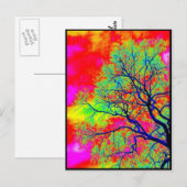 Carte Postale Oiseaux (Devant / Derrière)