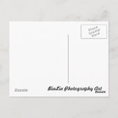 Carte Postale Oiseaux (Dos)