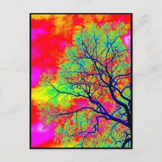 Carte Postale Oiseaux (Devant)