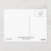 Carte Postale Oiseaux (Dos)