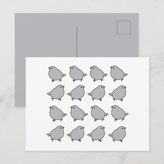 Carte Postale Oiseaux (Devant / Derrière)