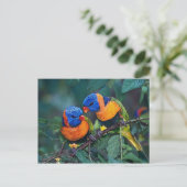 Carte Postale Oiseaux (Debout devant)