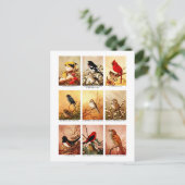 Carte Postale Oiseaux (Debout devant)